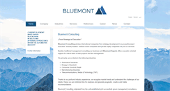 Desktop Screenshot of bluemont-consulting.com